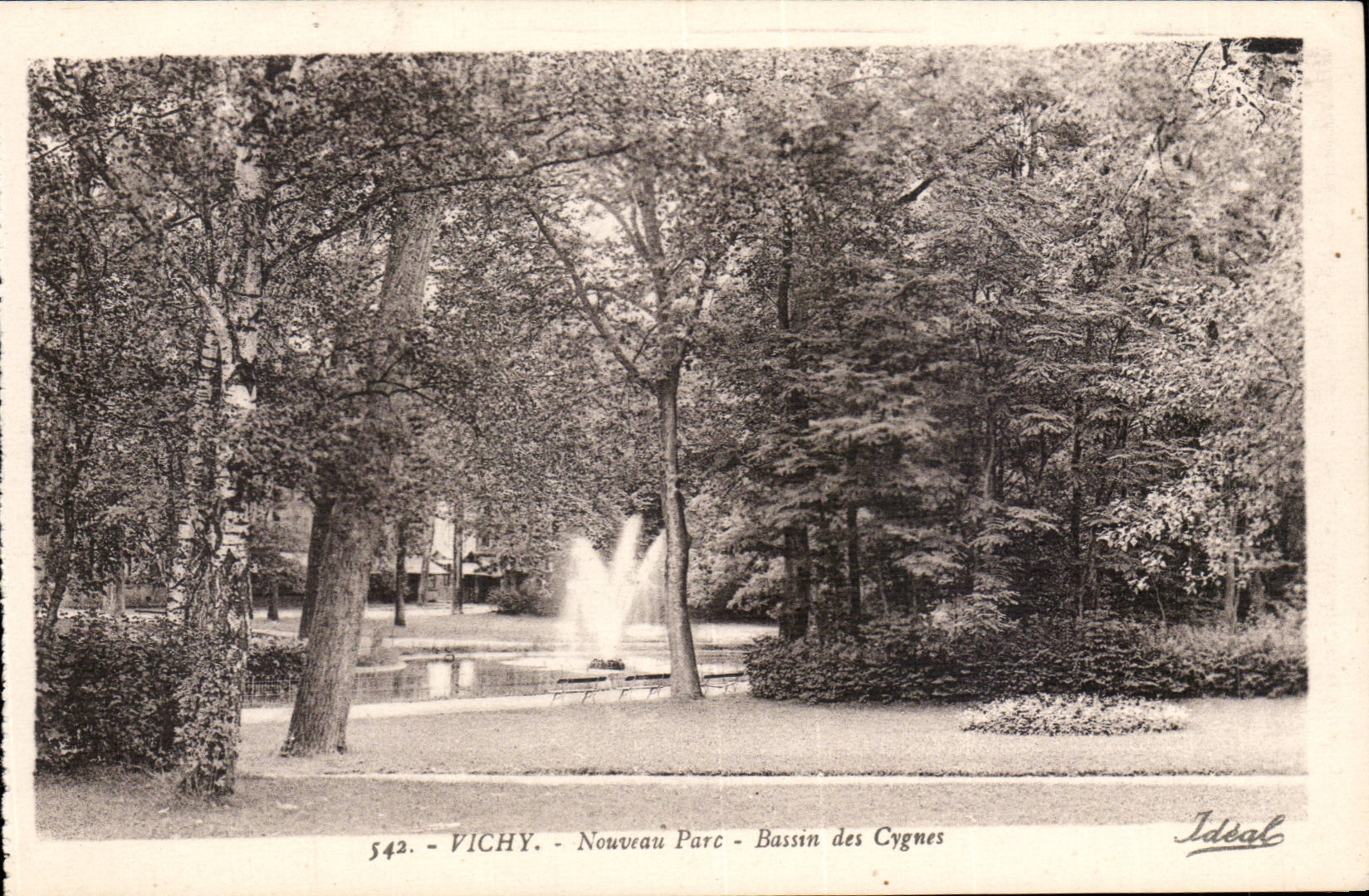 Vichy - Nouveau Parc - Bassin des Cygnes - CPA 