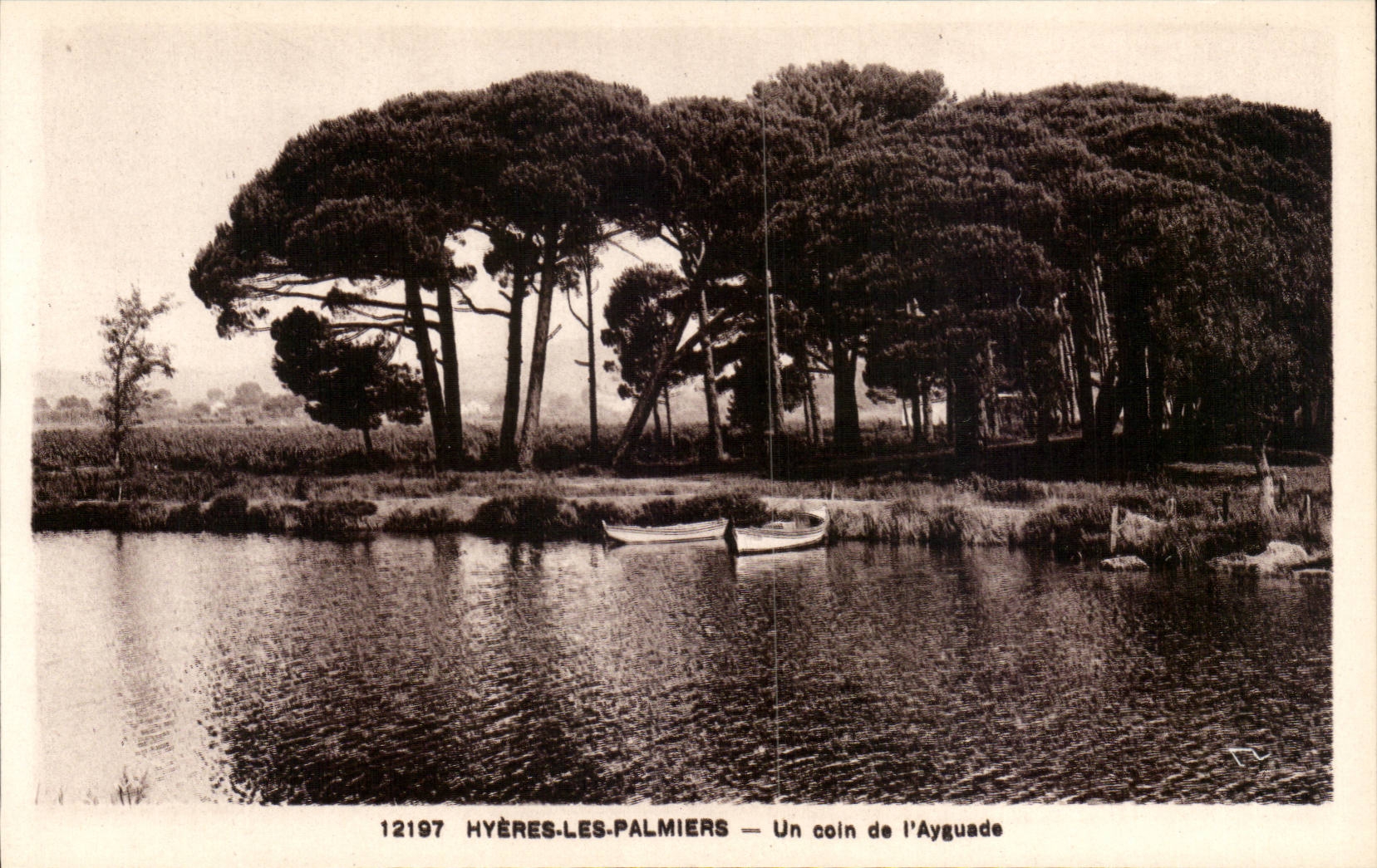 Hyeres Palmen - eine Ecke von Ayguade - CPA