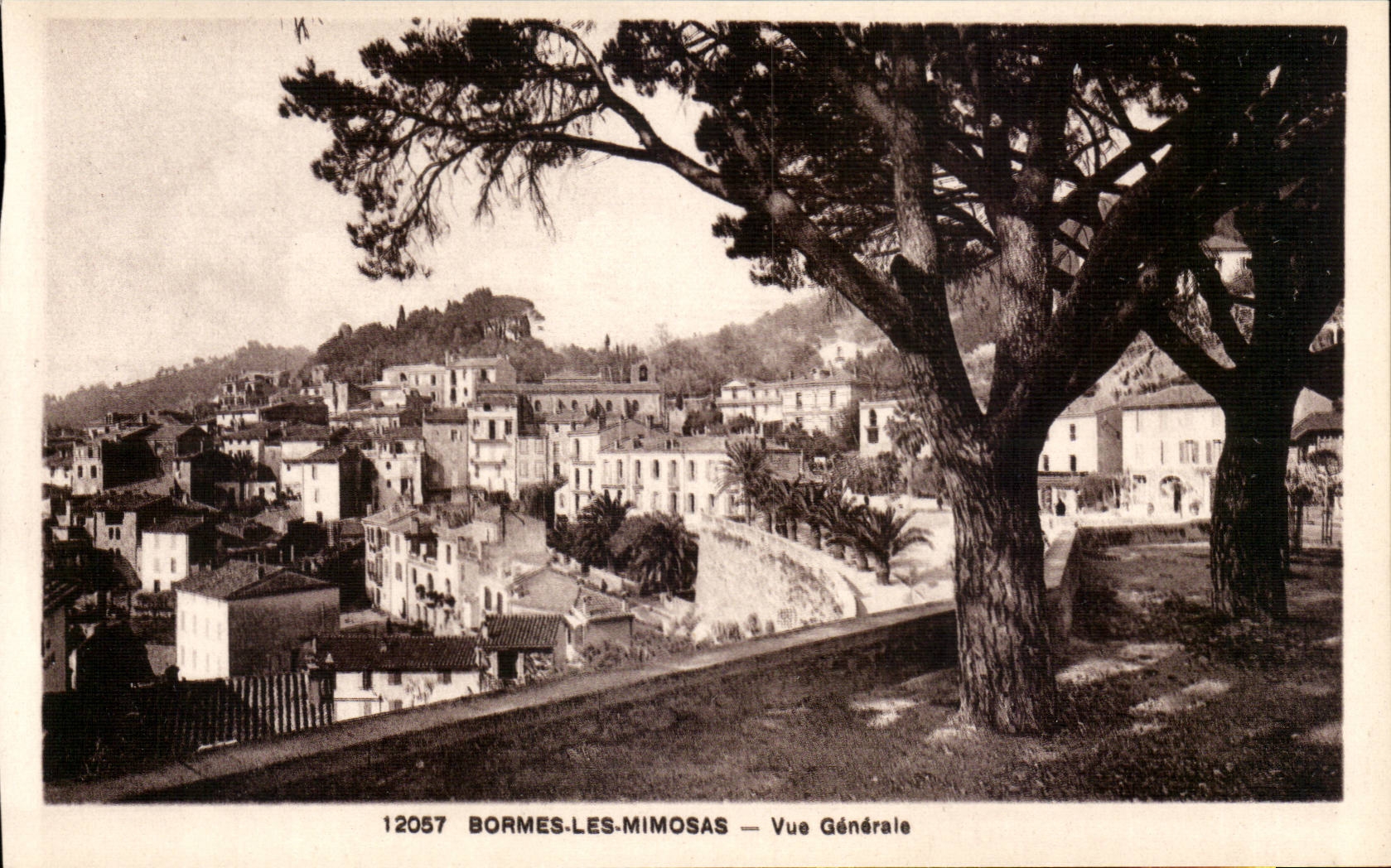 Bormes Mimosas - View - CPA