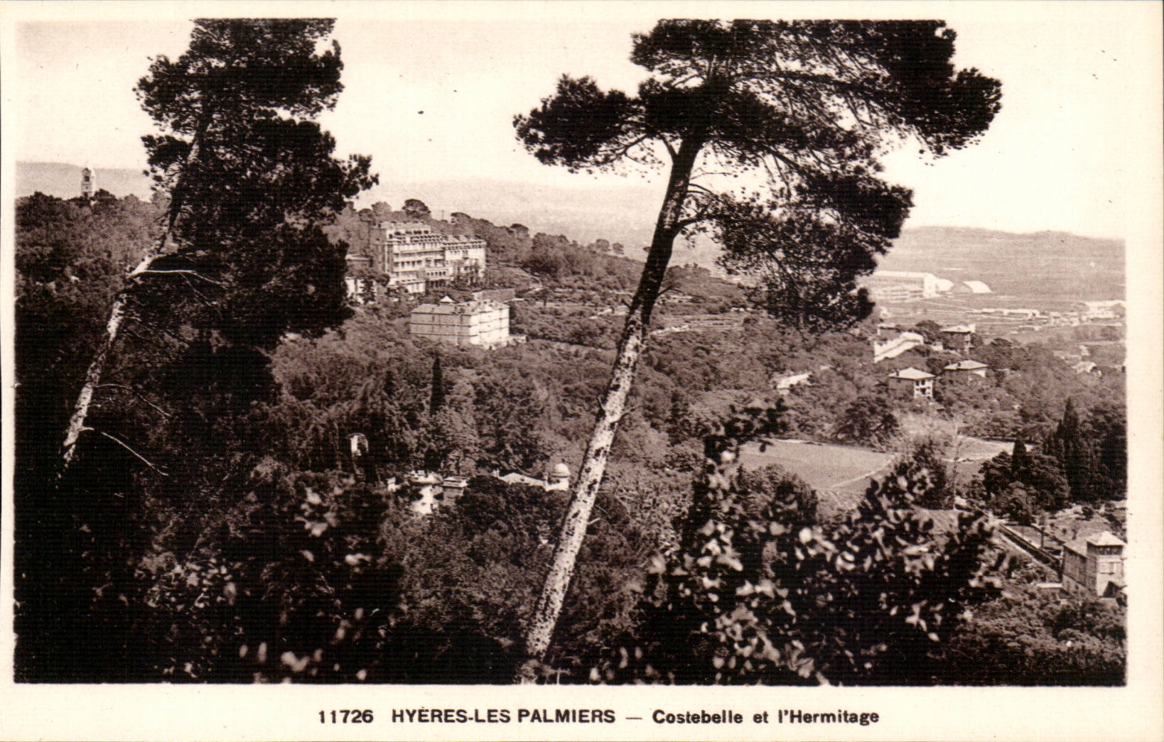 Hyeres Palmen - Costebelle und Einsiedlerei CPA
