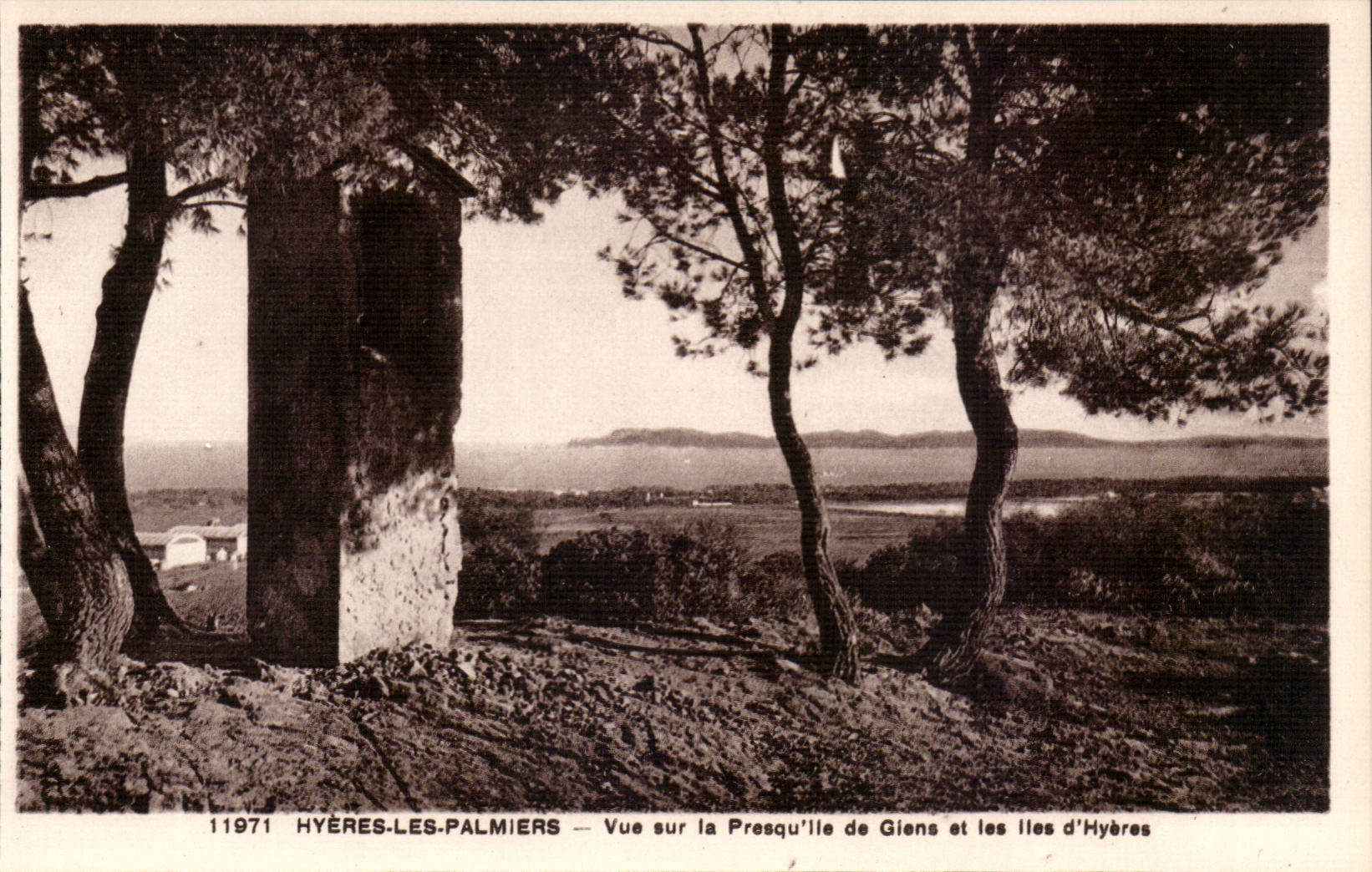 Hyeres Palmen - Anblick auf der Halbinsel von Giens und den Inseln von Hyeres CPA