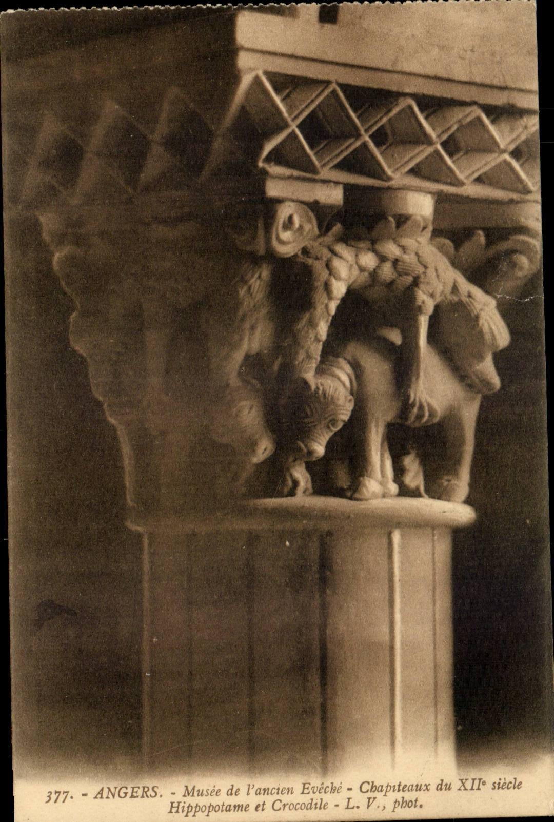 Angers - Museum of Old Eveche - XII century old Capitals CPA