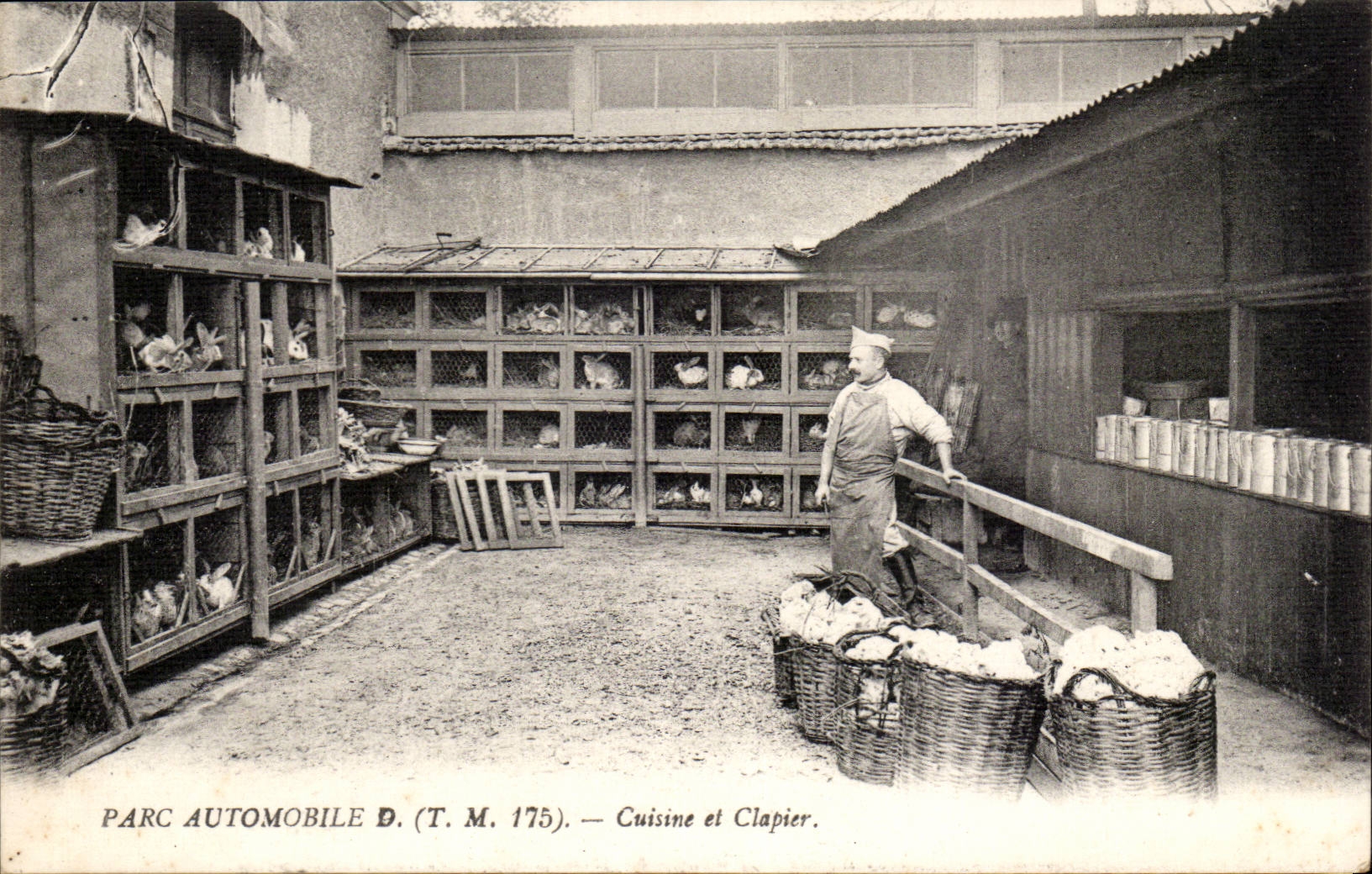 CPA Militaria Car fleet Cooks and rabbit burrow