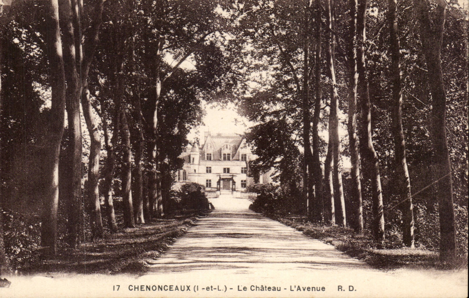 Chenonceaux - Le Chateau - L'Avenue - CPA