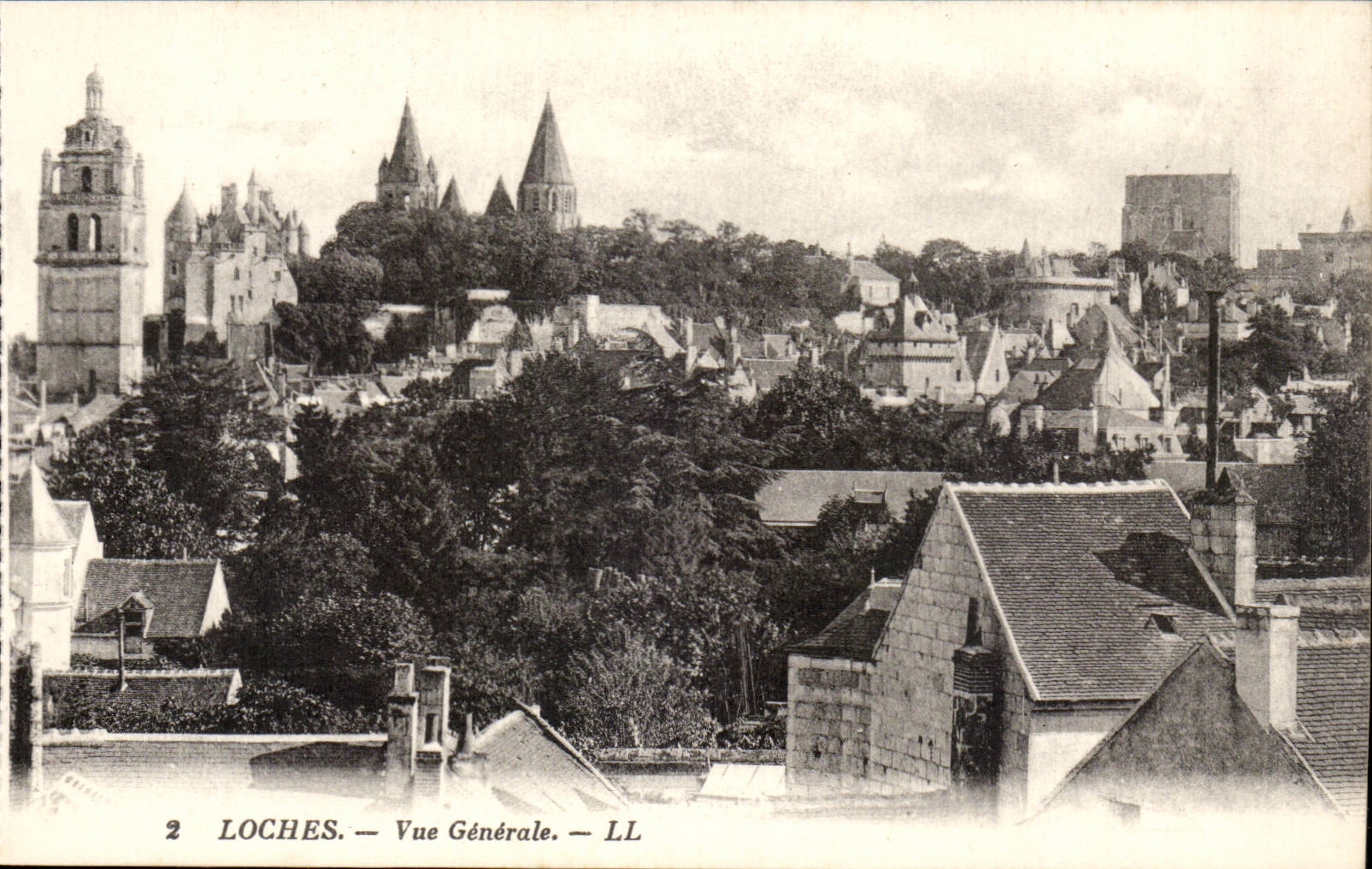 Loaches - View - CPA