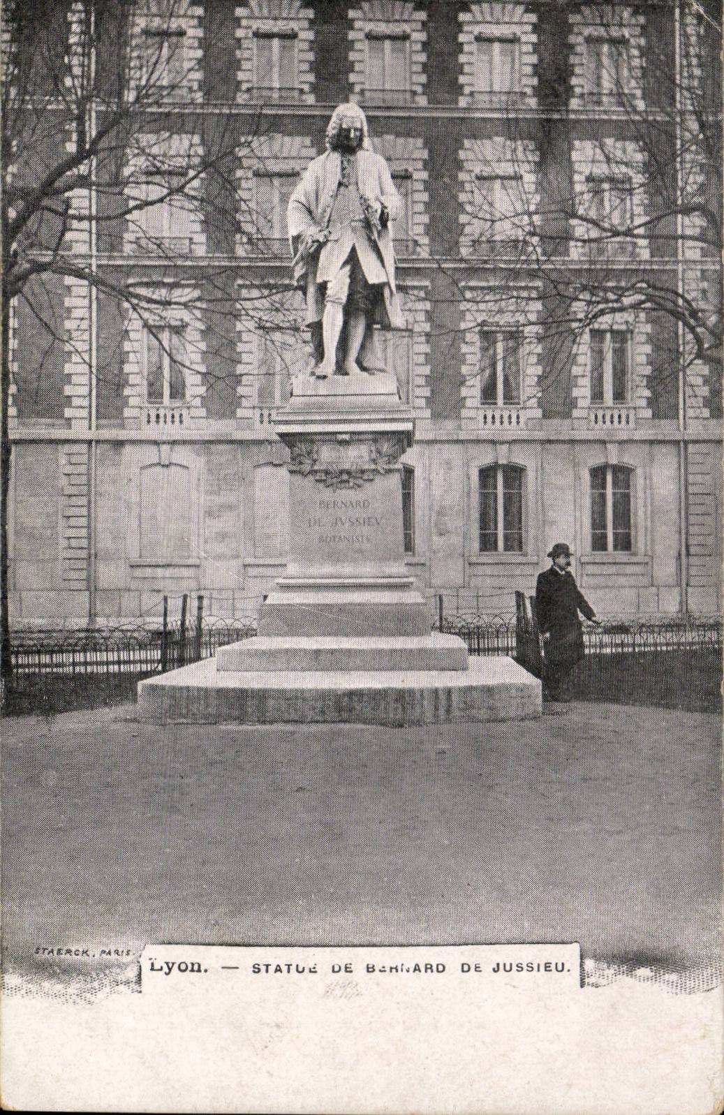 Lyon - Statue von Bernard de Jussieu - CPA