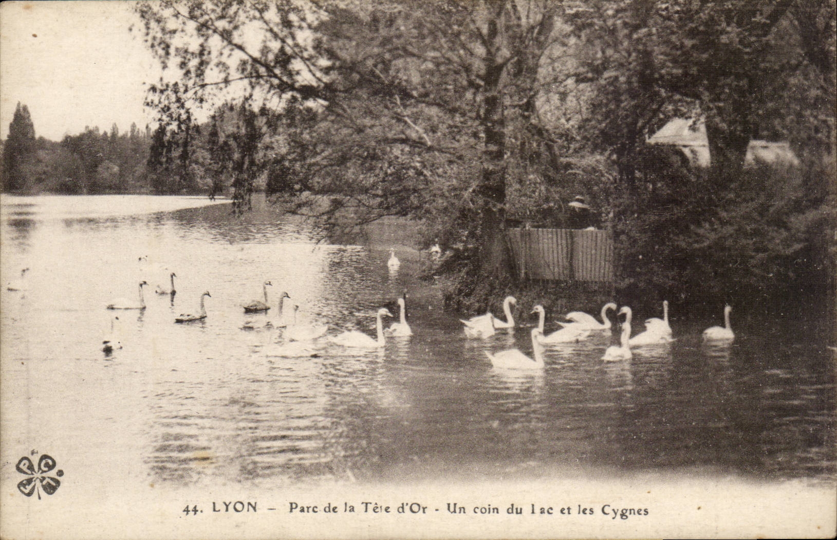 Lyon - Park des Goldkopfes - eine Ecke des Sees und der Schwane - CPA