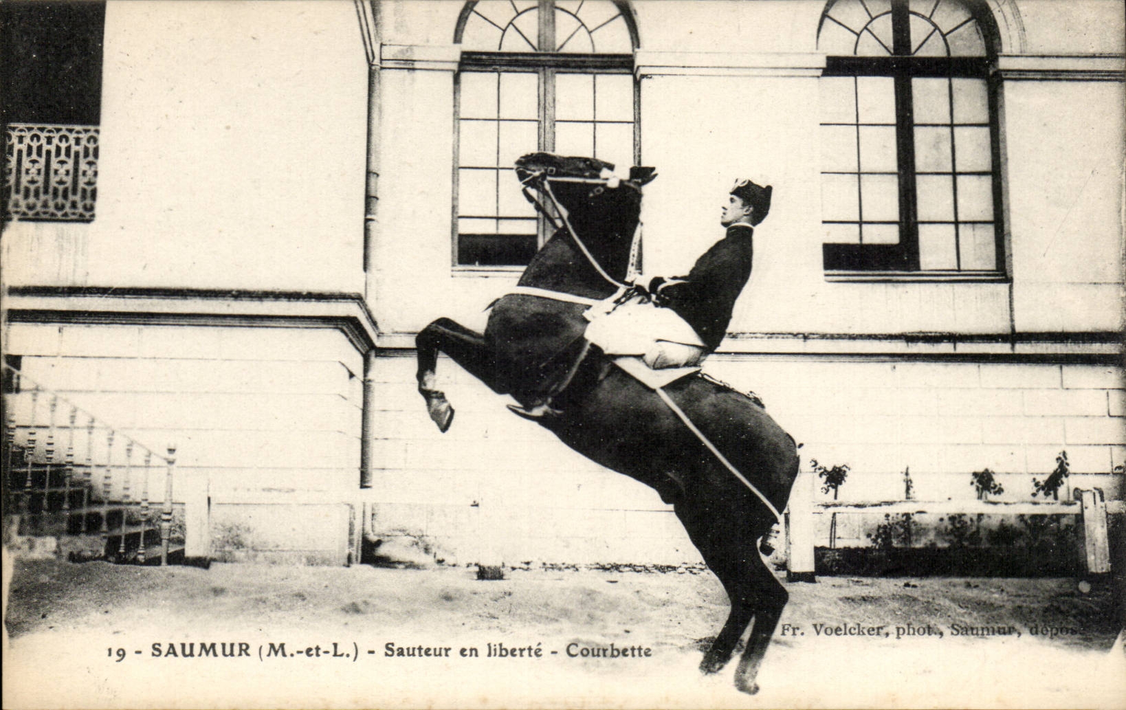 Jumping Saumur CPA in Courbette freedom