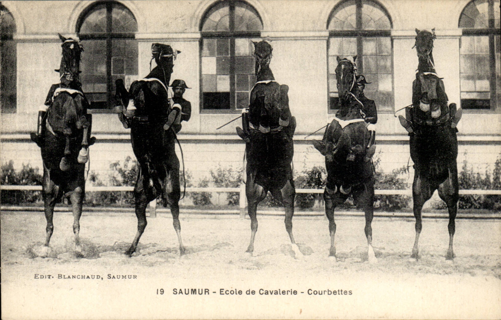 Saumur CPA School of cavalry Courbettes (horse hippism)