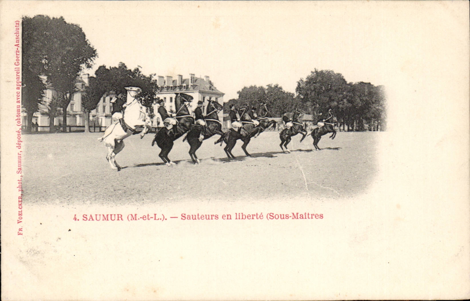 Jumping Saumur CPA in freedom Under Masters (horse hippism)