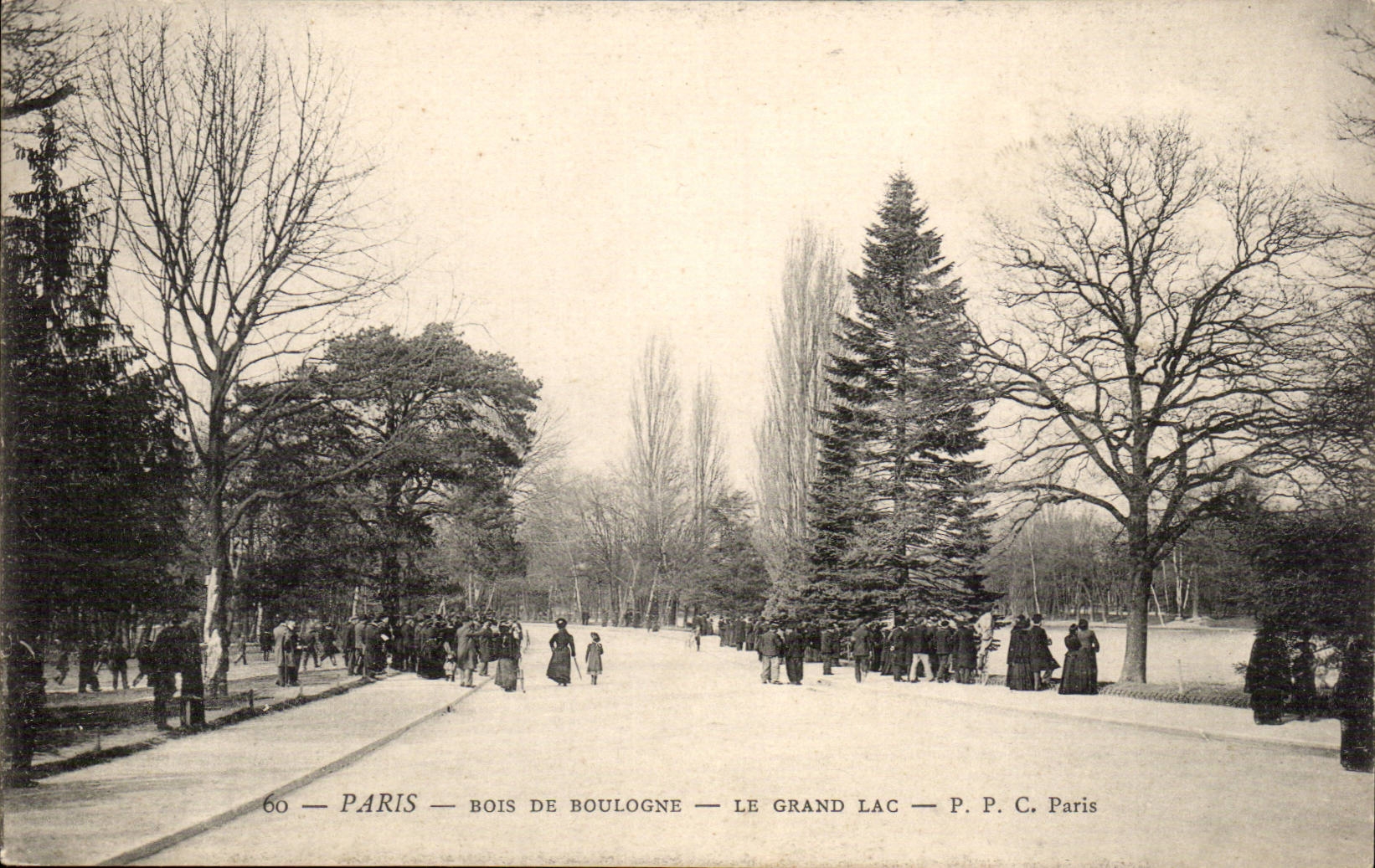 Paris 16 - Bois de Boulogne - Le Grand Lac - CPA