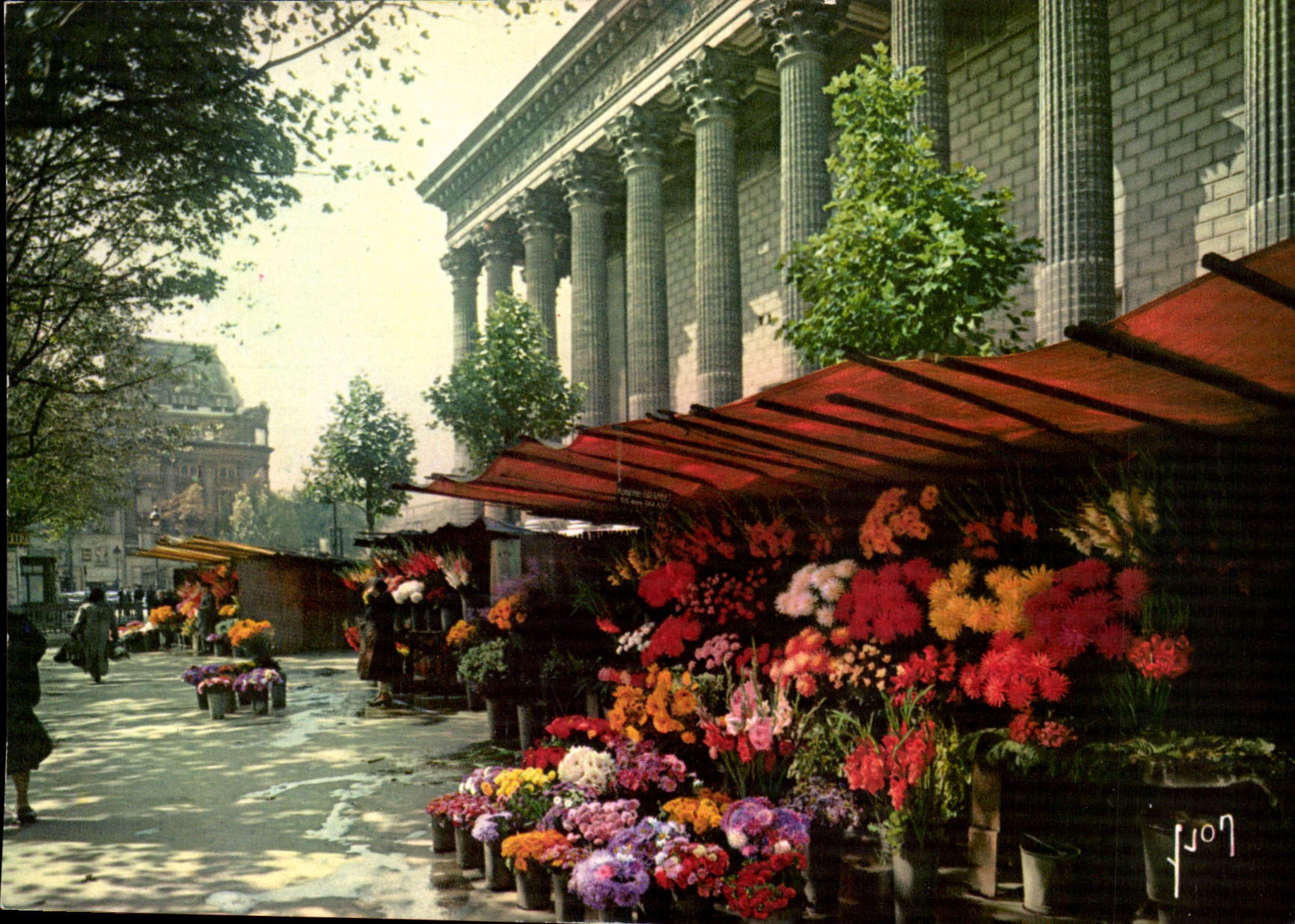 Paris 8 - Market with the Flowers of Madeleine CPA