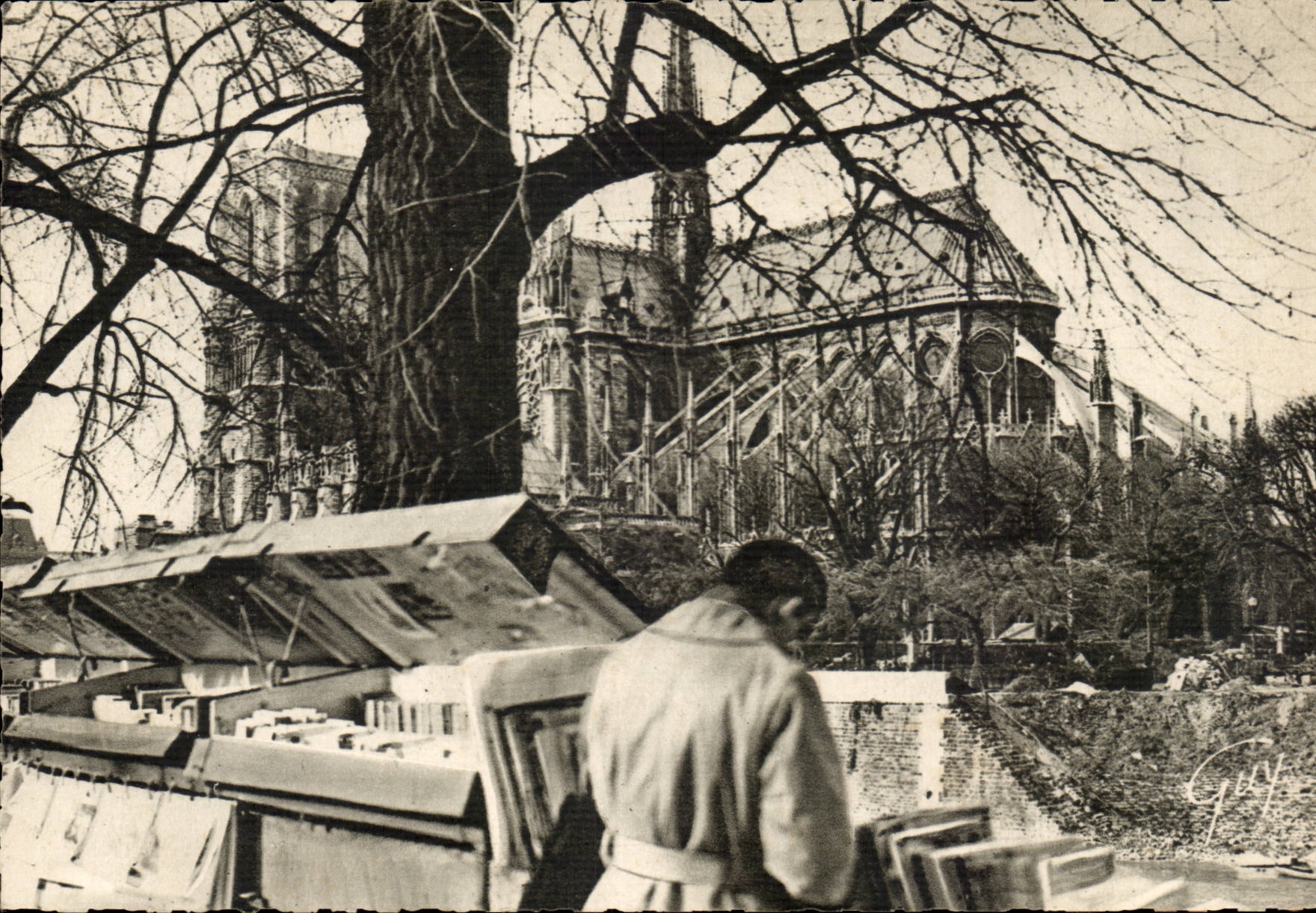 Paris - 4 - Bouquiniste de la Rive Gauche et Cathedrale Notre Dame CPA