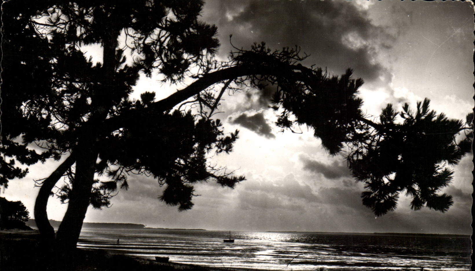 Island of Oleron - To lay down Sun on the Ocean When Nature is laughed water - CPA