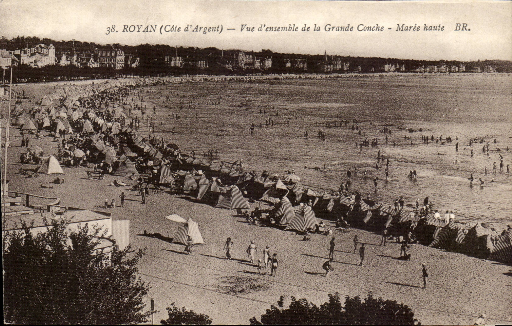 Royan - Gesamtabbildung des grossen Tritonshorns - Flut - CPA