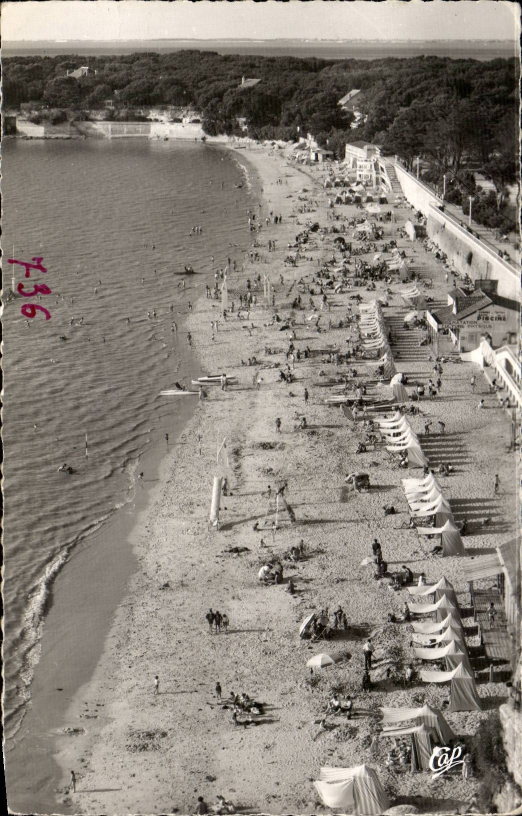 Fouras - View of the Beach - CPA