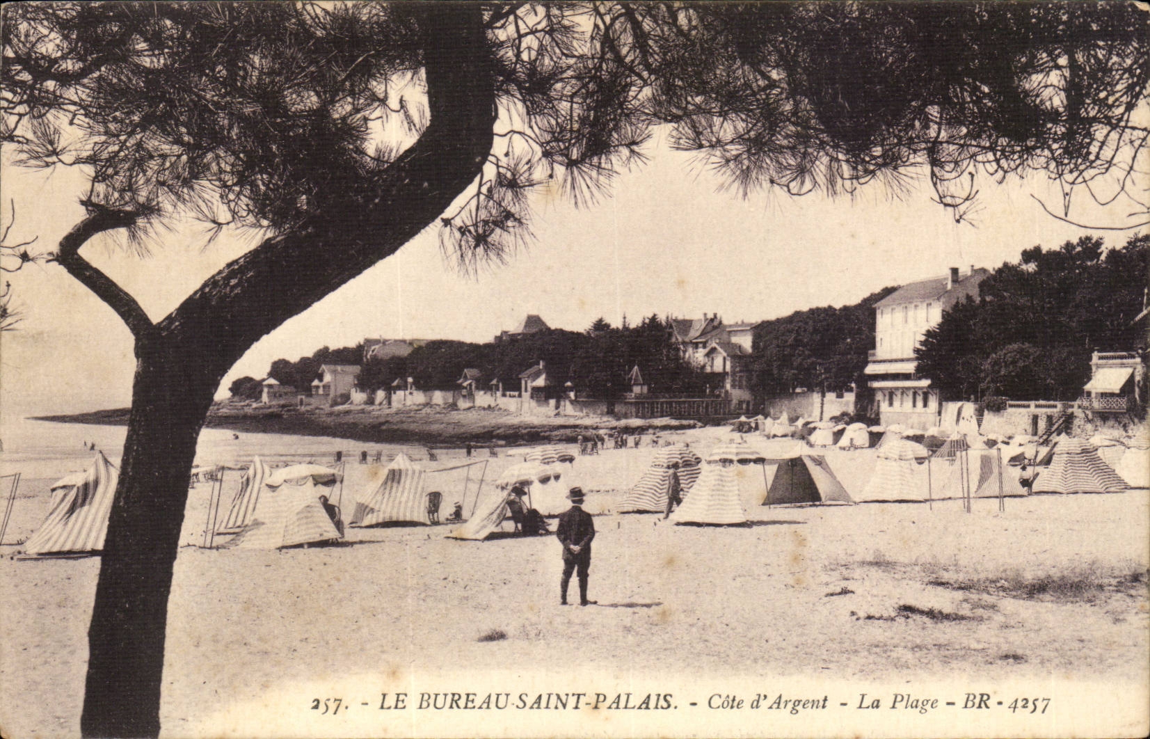 The Office Saint Palate CPA the beach