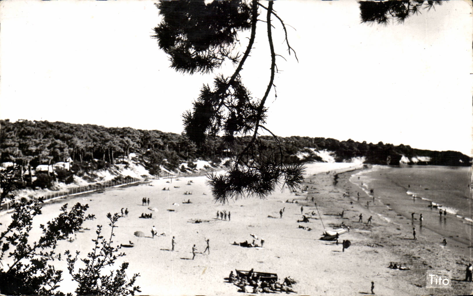 Saint Georges de Didonne MODERN CARD the beach of Suzac the point of Lembechade
