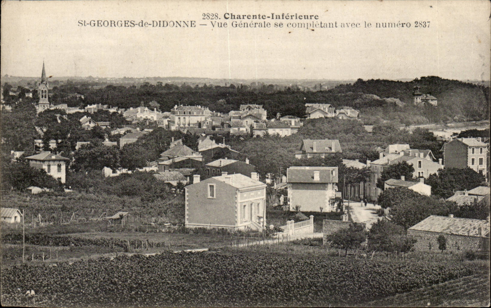 Saint Georges de Didonne CPA View