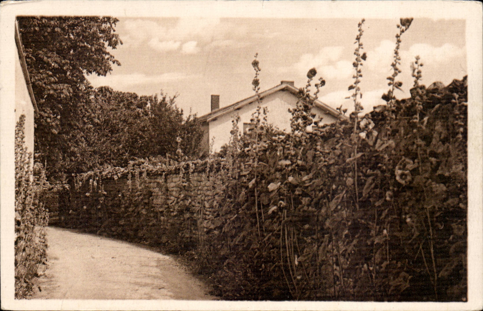 CPA Talmont on the Gironde a flowered street