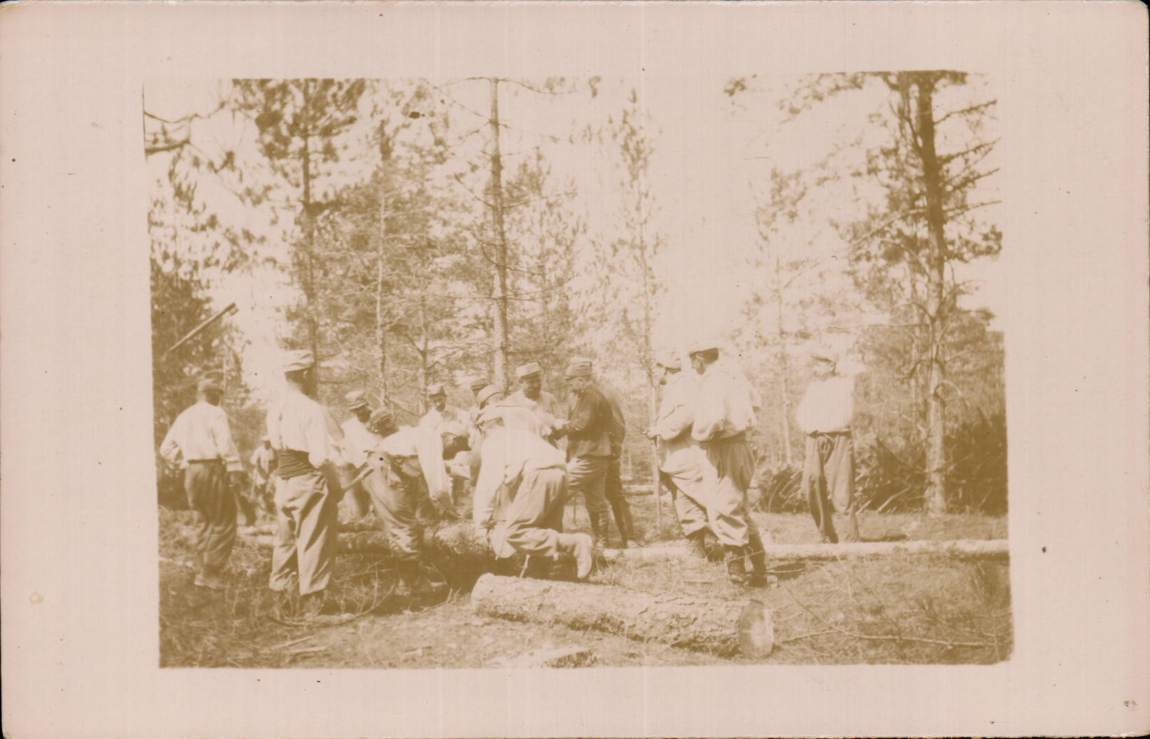 CPA Militaria Soldiers with the work of wood (logger)