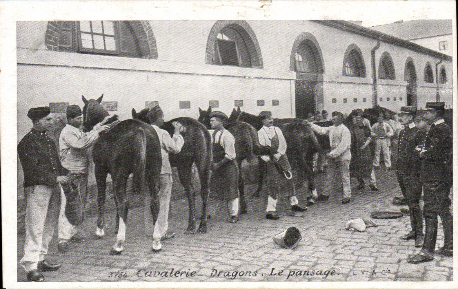 CPA Militaria Cavalry Dragons grooming (horses horse)