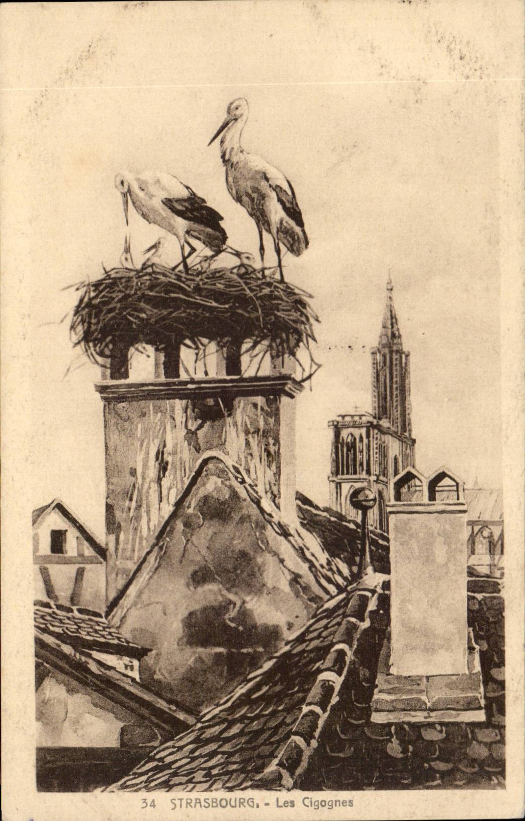 CPA Strasbourg storks