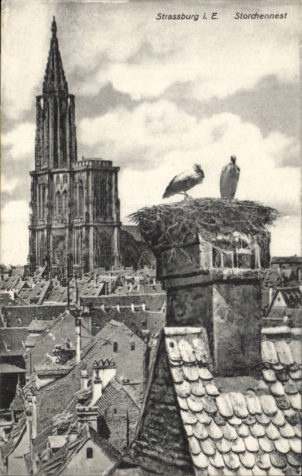 Strasbourg CPA Storchennest Nest of storks