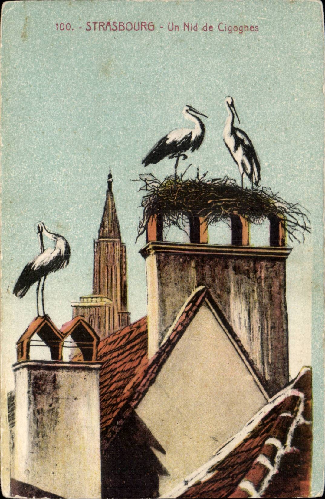 CPA Strasbourg Nest of storks