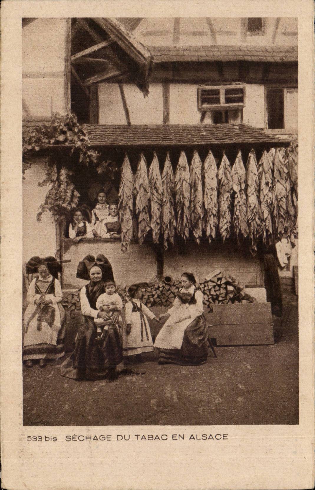 CPA Drying of the tobacco in Alsace (trades)