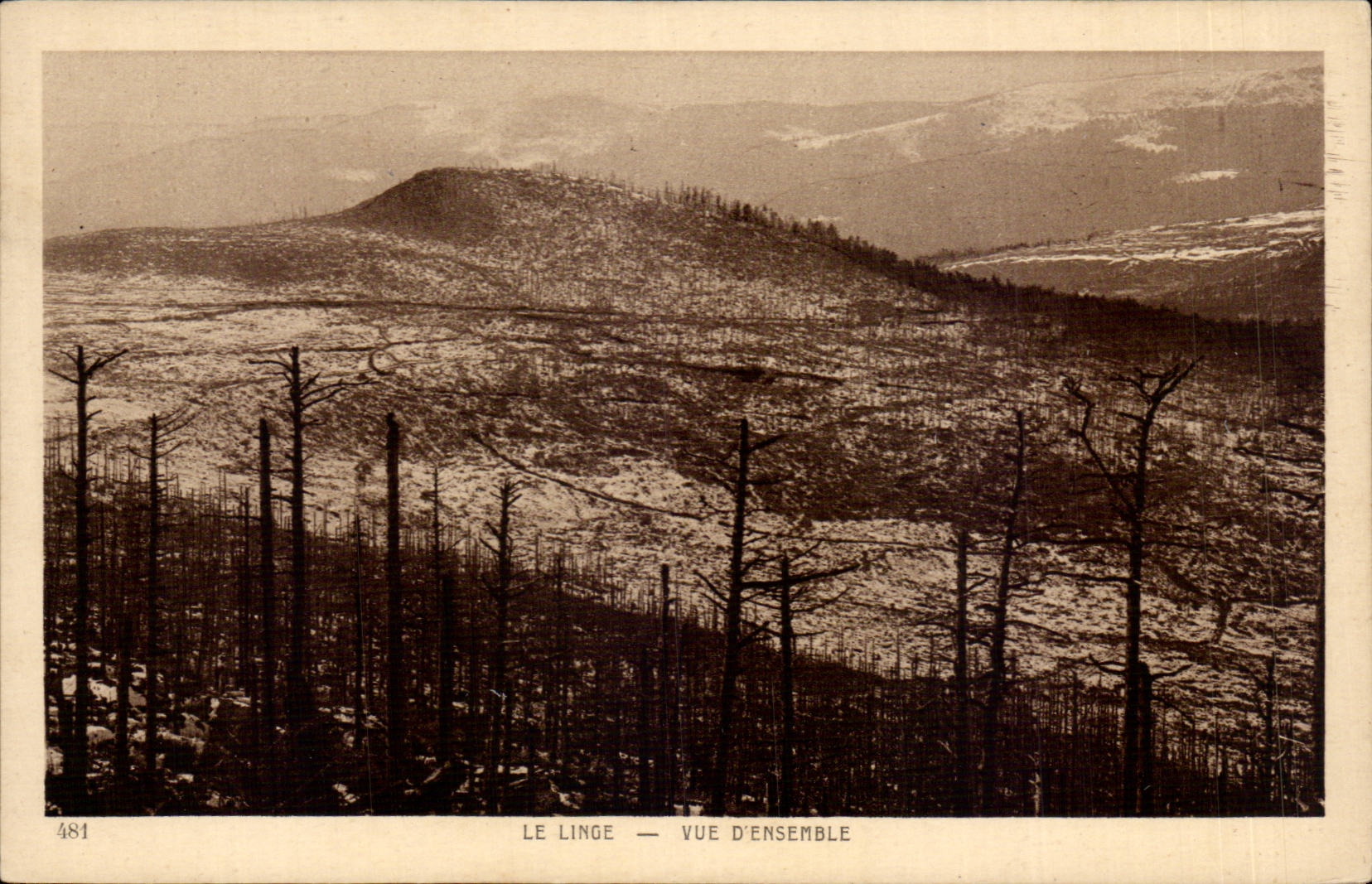 Linen CPA Overall picture