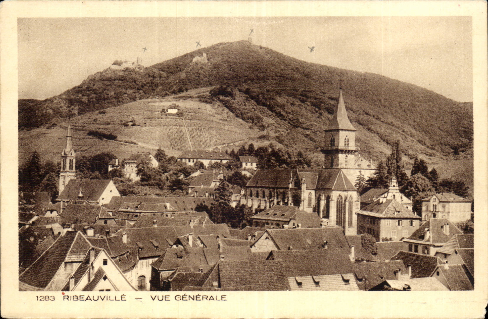 Ribeauville - View - CPA