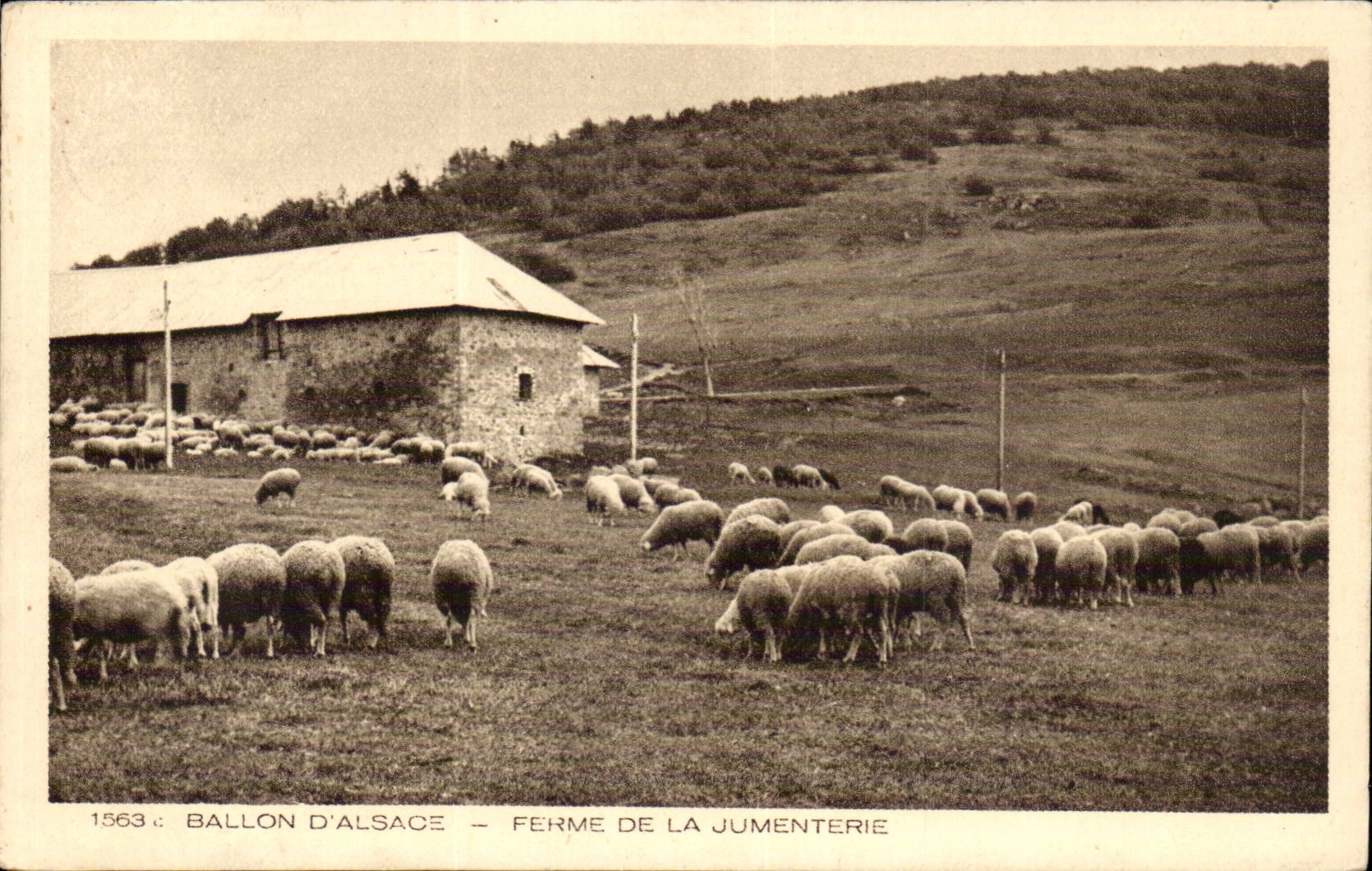 Balloon of Alsace - Firm of Jumenterie - CPA