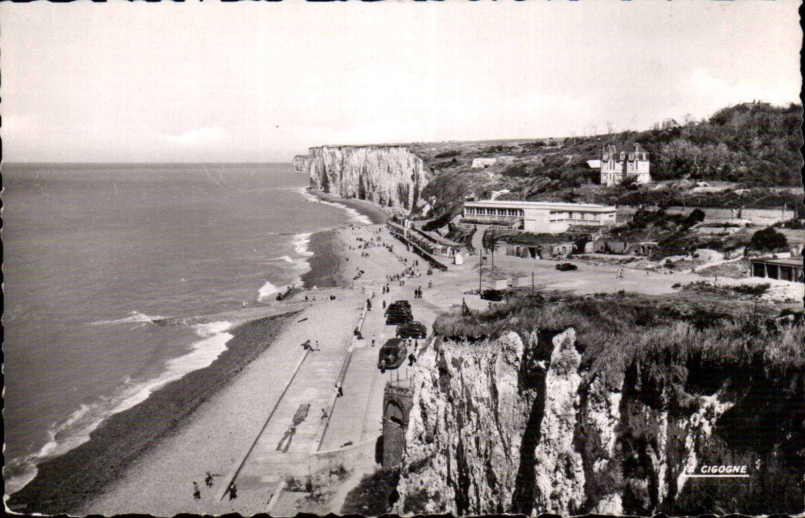 Weak Roses - View of the Beach taken of cliffs of downstream CPA