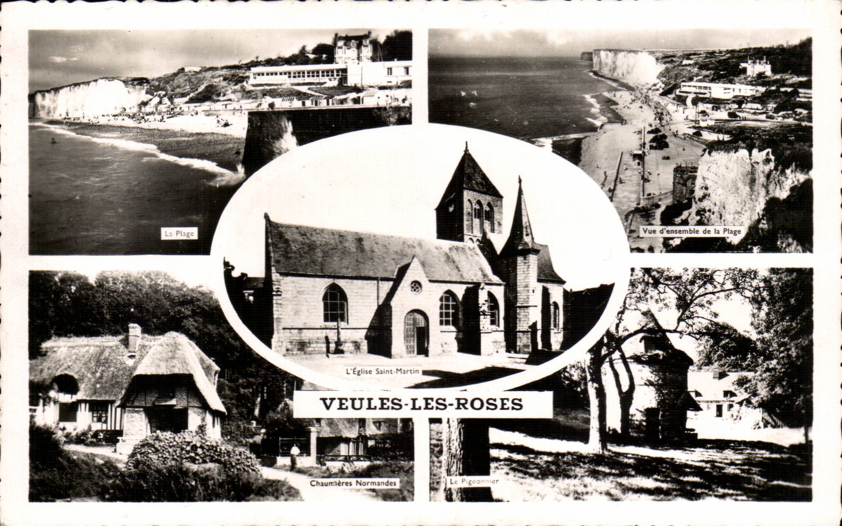 Weak Roses - Souvenir - CPA