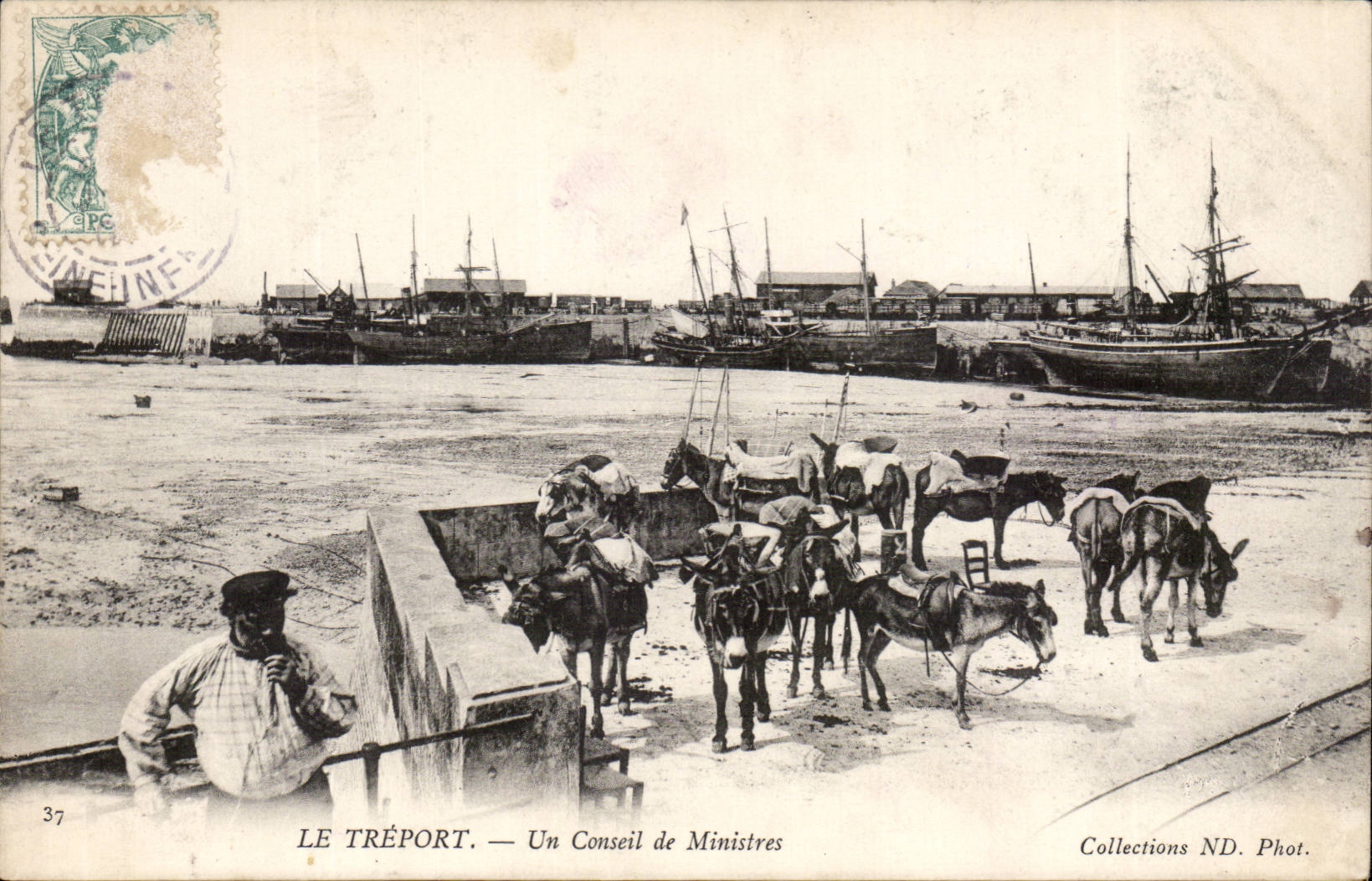 Treport - the Council of Ministers - Ass - donkey - CPA