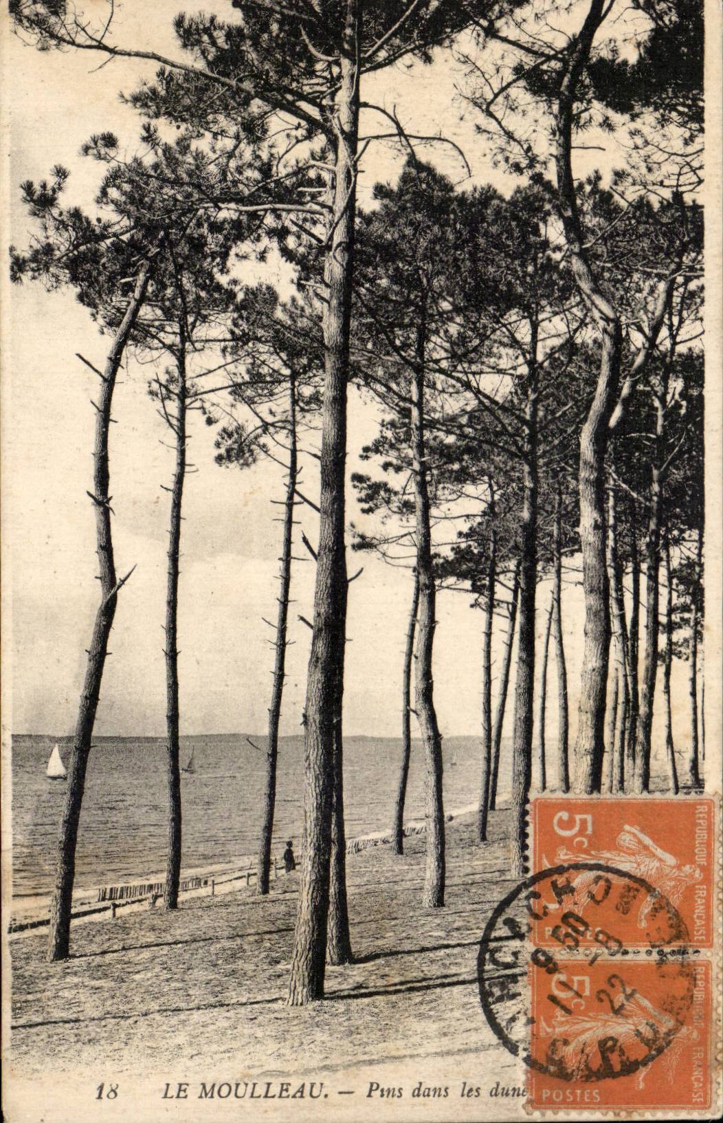 Le Moulleau - Les Pins - CPA 