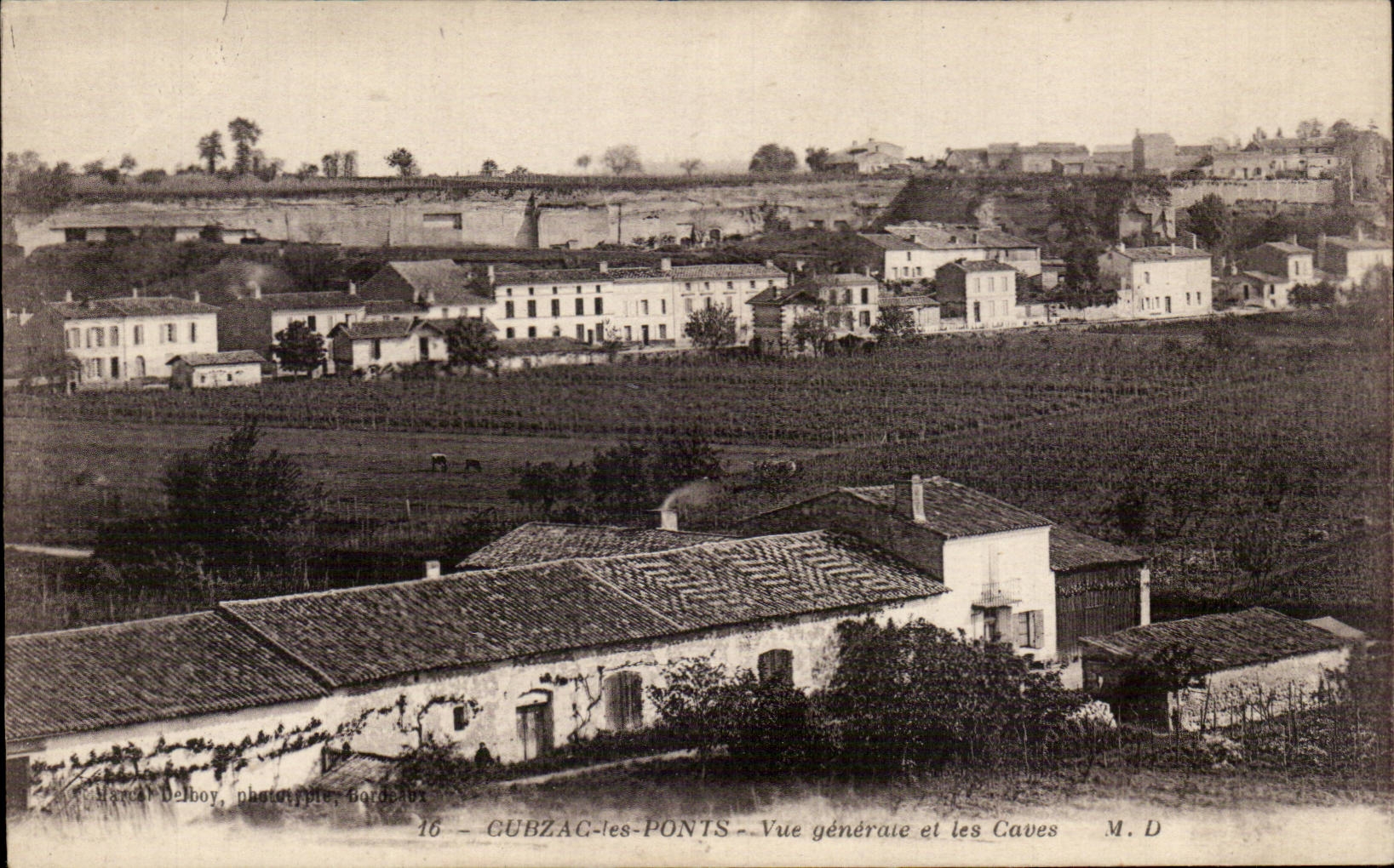 Cauzac les Ponts - Vue Generale et les Caves - CPA 
