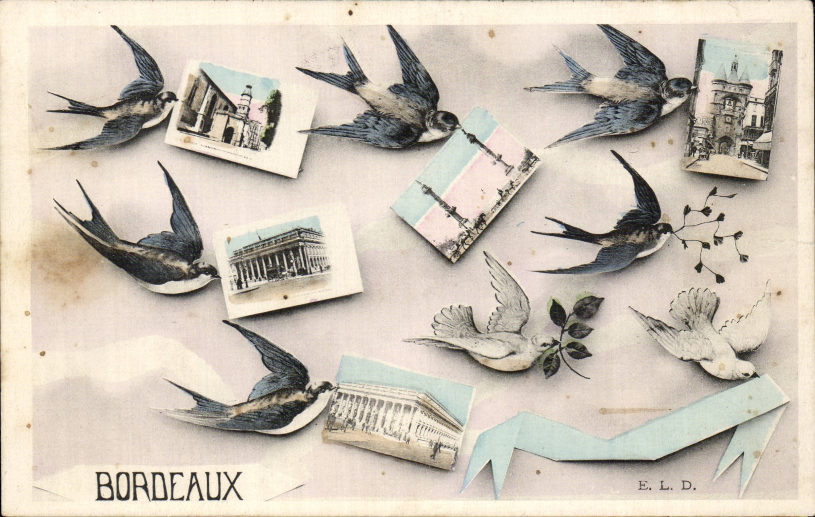 Bordeaux CPA Swallows