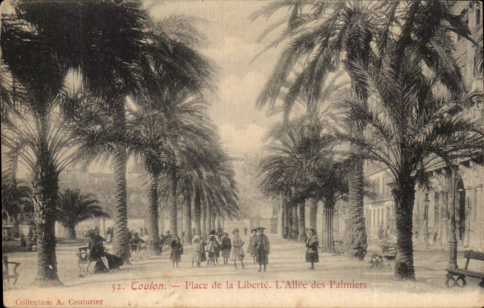 Toulon CPA Places libert the alley of the palm trees