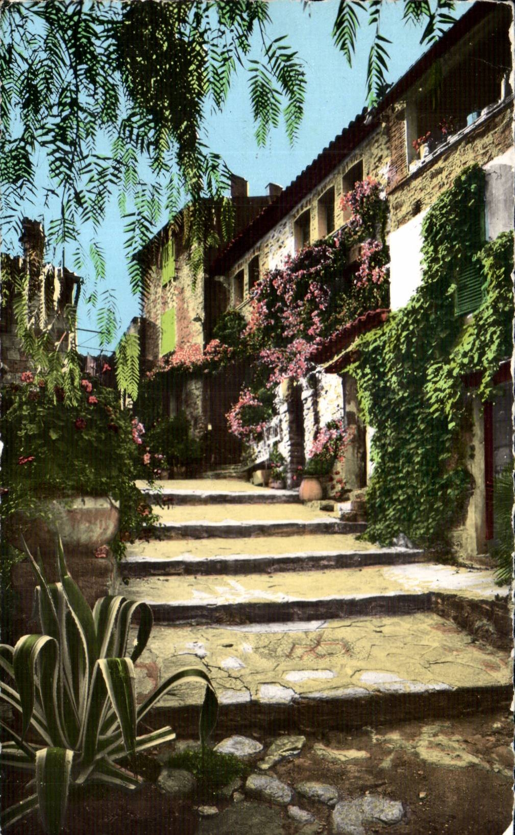 Bormes Mimosas MODERN CARD an old street of Provence