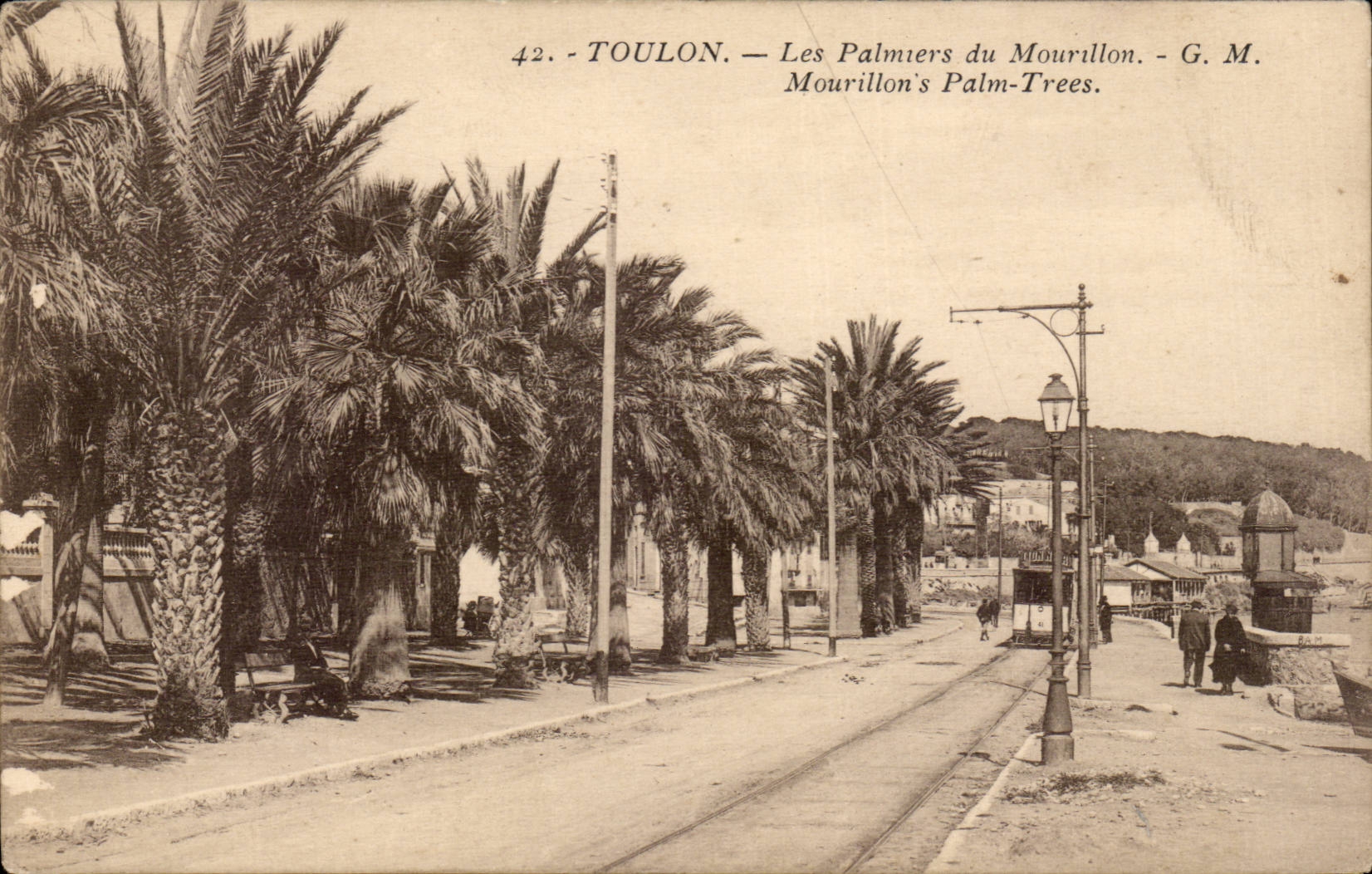 Toulon CPA palm trees of Mourillon