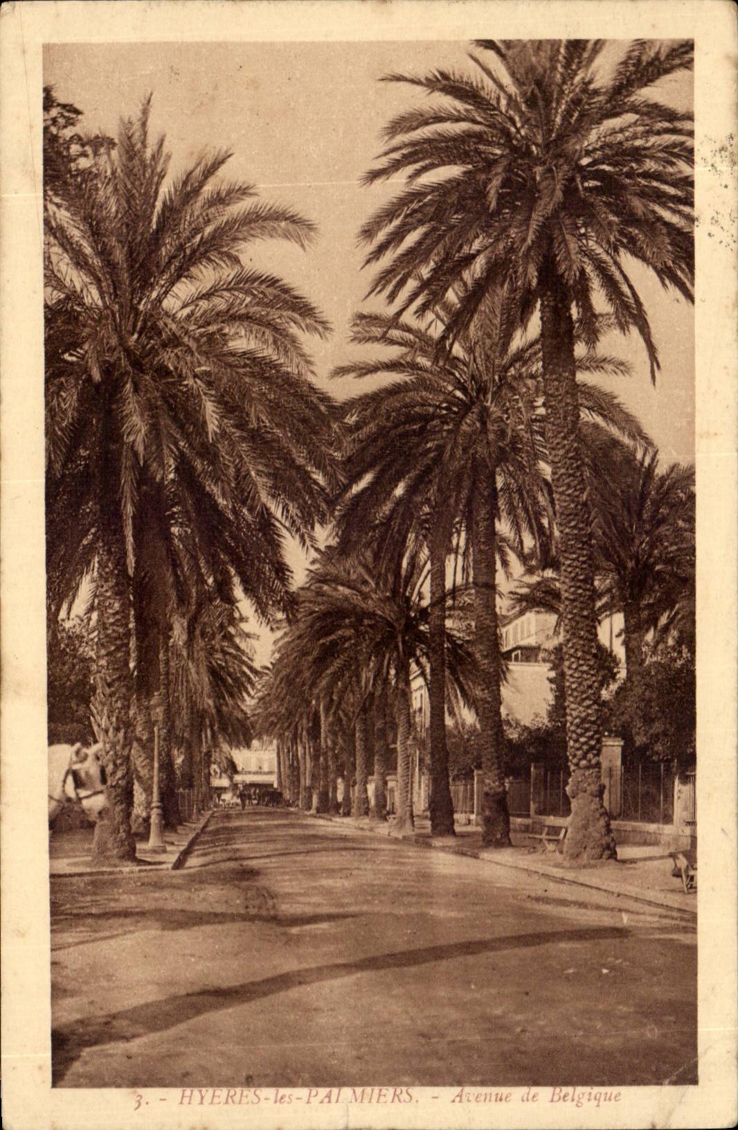 Hyeres Palmen CPA die von Belgien auftraten