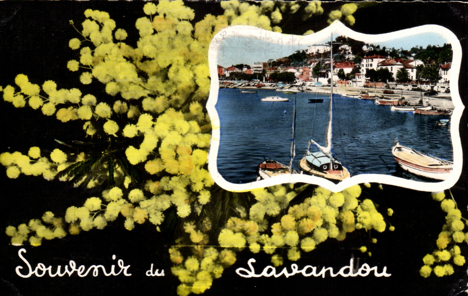 MODERN CARD Souvenir of Lavandou
