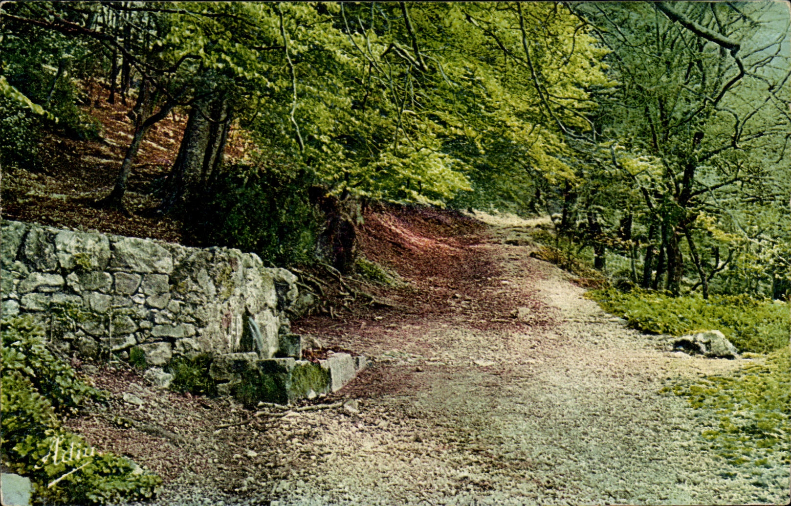 CPA Hotellerie et grotte de la Sainte Baume St Zacharie