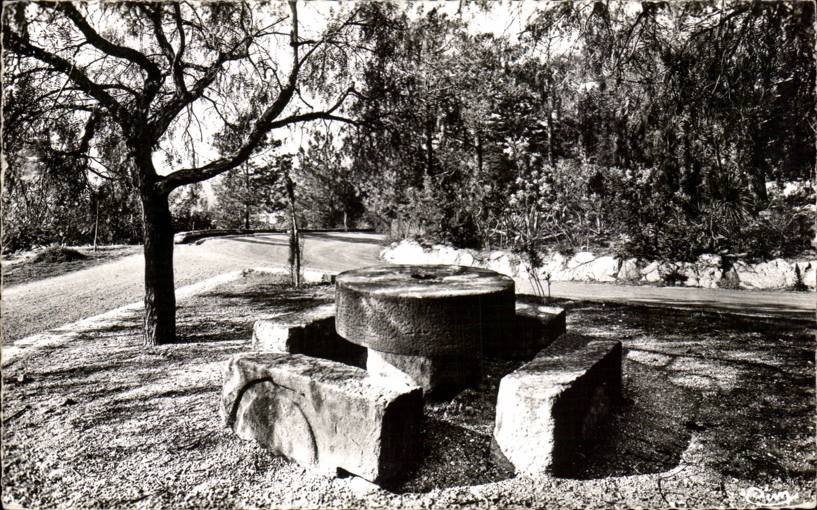 Bormes the Mimosas MODERN CARD Old counts of stone