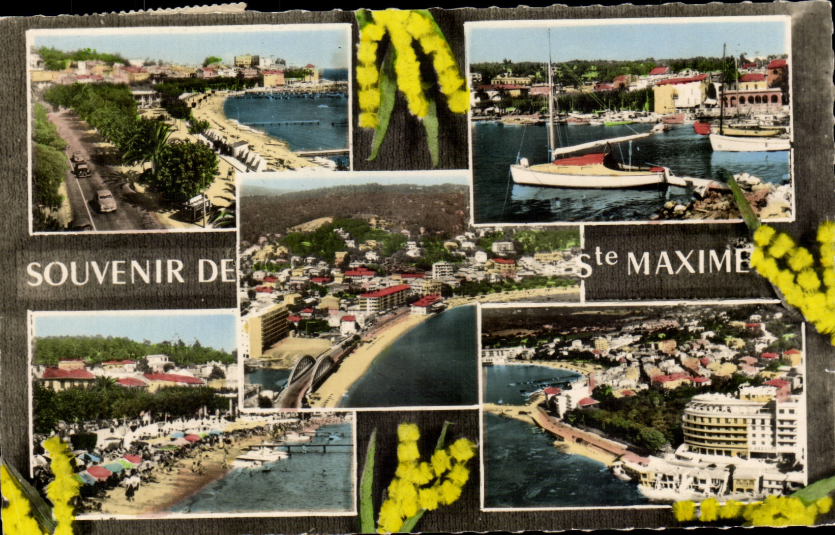 MODERN CARD Souvenir of co Maxime