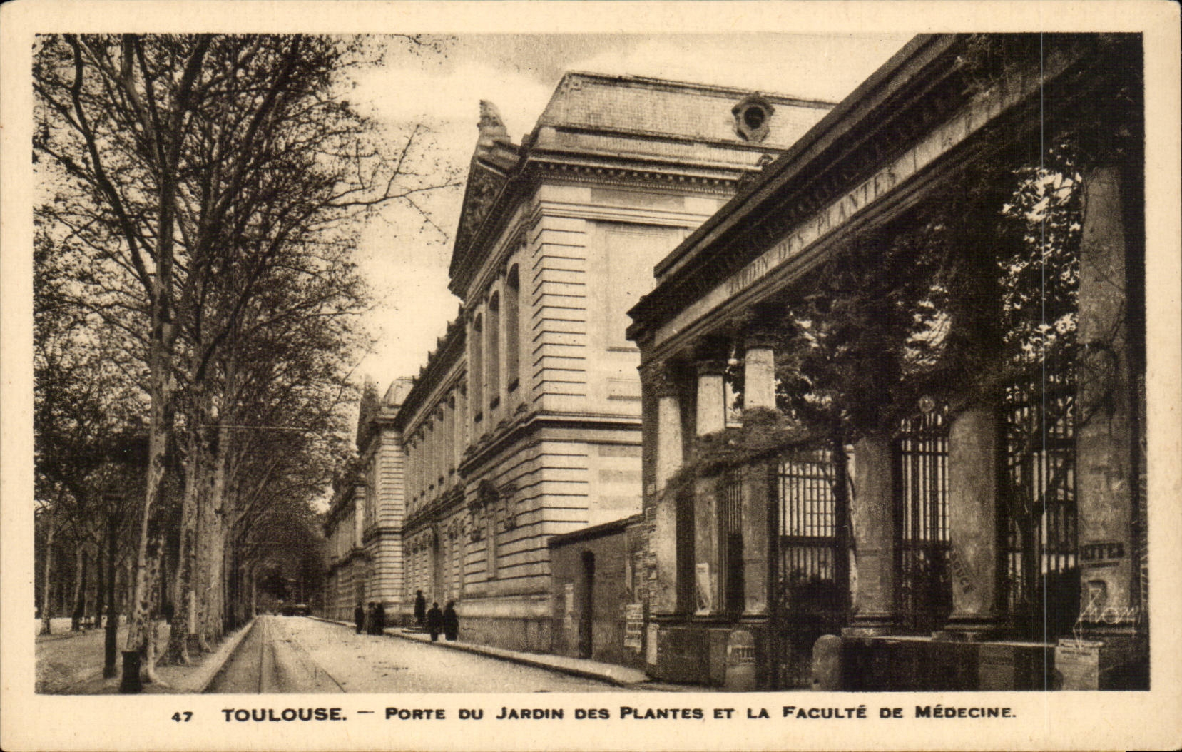 Toulouse - Porte du Jardin des Plantes et la Faculte de Medecine - CPA 