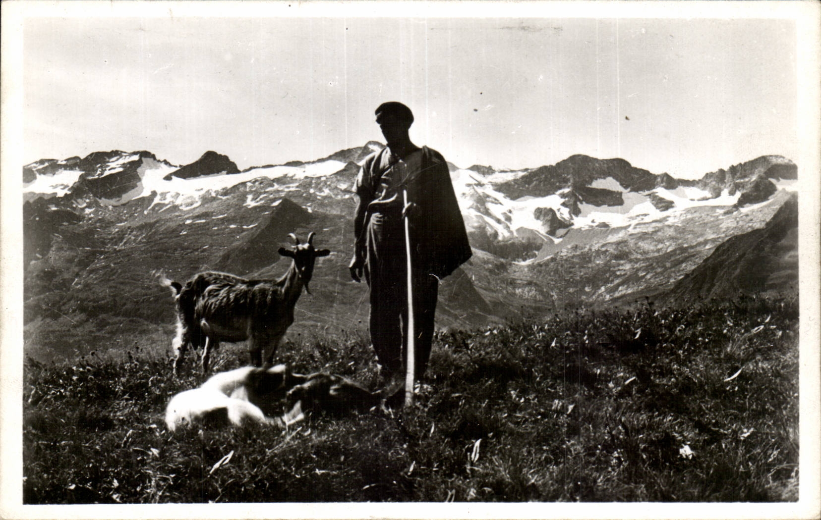 Luchon - Superbagneres - the Shepherd - 1800m - goat - goat CPA