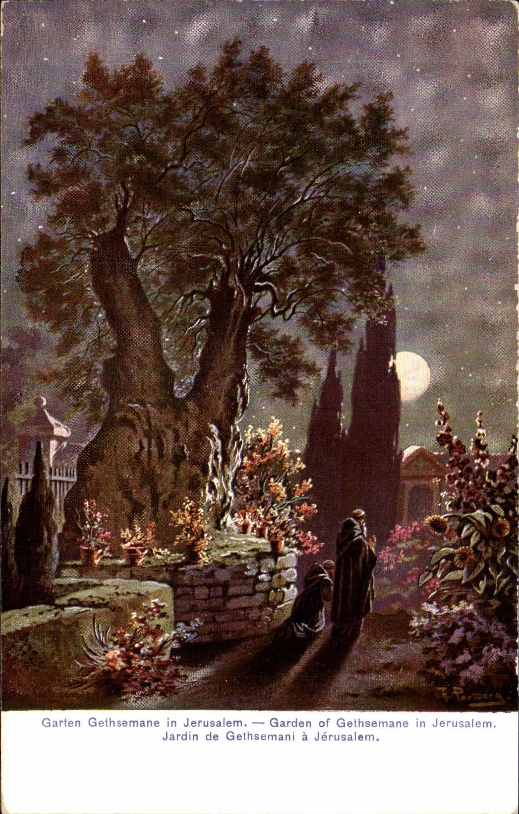 Israel - Jerusalem - Garden off Gethsemane - Gethsemani - Garden - Garten - CPA